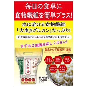 もち麦 栃木県産もち麦 もち絹香1.4kg(1...の詳細画像2