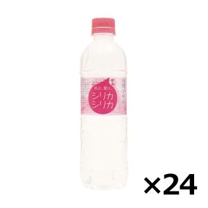 《販売NG》水 シリカ水 美いね シリカシリカ 500ml×24本（1ケース）送料無料 ミネラルウォーター シリカ ケイ素