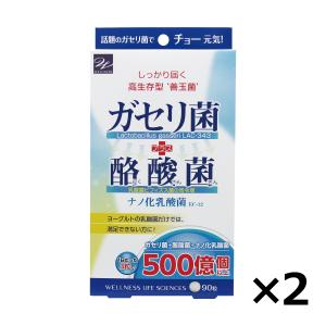 サプリ サプリメント ネコポス選択で送料無料 ガセリ菌＋酪酸菌 90粒 2個セット ガセリ菌 サプリ ドラッグストア 酪酸菌サプリ 乳酸菌サプリ 善玉菌｜sapri-bk