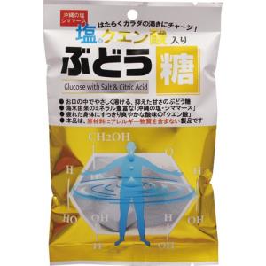 タブレット 塩クエン酸入りぶどう糖 25粒 ブ...の詳細画像1