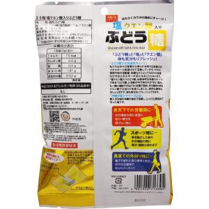 タブレット 塩クエン酸入りぶどう糖 25粒 ブ...の詳細画像2