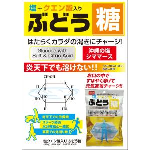 タブレット 塩クエン酸入りぶどう糖 25粒 ブ...の詳細画像3