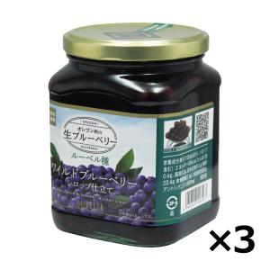 ワイルドブルーベリーシロップ仕立て 555g 3個セット  アメリカ産 ルーベル種 オレゴン州 ブルーベリー シロップ  DELTA デルタ 生ブルーベリー