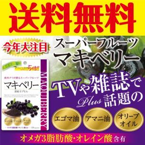 マキベリー濃縮カプセル 120粒 メール便 送料無料 道端ア...