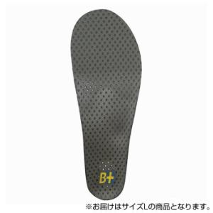 ホシノ インソール Flying Foot Hoshino Insole B+VC25M Varia...