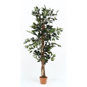 観葉植物 造花 フィカス A 6号鉢対応 幅60cm リビング ダイニング インテリア雑貨 備品 什器〔代引不可〕｜saradakan-tuboiten