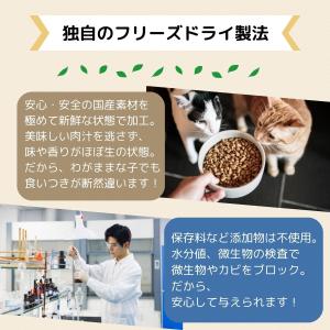 ママクック 猫 フリーズドライ おやつ 全15...の詳細画像5