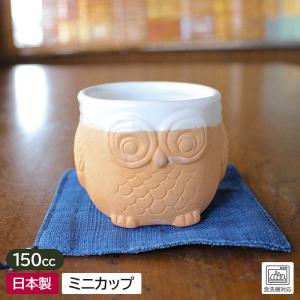 小鉢 ミニカップ カップ ふくろう 美濃焼 サボテンなどの鉢に 小物入れにも 素焼きの味わい / 焼きしめ 塗り分けフクロウ ミニカップ 150cc