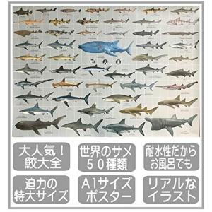 サメ イラスト リアル おもちゃ の商品一覧 ゲーム おもちゃ 通販 Yahoo ショッピング