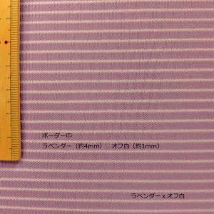 トリアセポリエステル混強燃ニット(8532)細...の詳細画像1