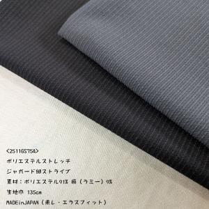 ポリエステル麻混ストレッチ(2511GS754...の詳細画像1