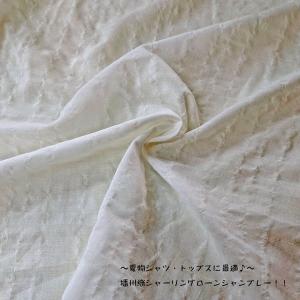 80/1綿モダールシャーリングローンシャンブレー（YMP659）ホワイト 生地巾110cm巾　数量1（50cm）295円　 MADE in JAPAN（播州織）