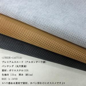 プレミアムスエードパンチング(JTW5EW)(...の詳細画像1