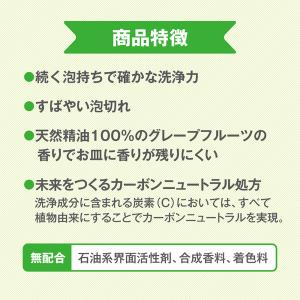 台所洗剤 ハッピーエレファント 野菜・食器用洗...の詳細画像5