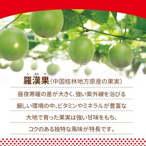 ラカント ラカントS 顆粒 1.1kg×3 甘...の詳細画像4