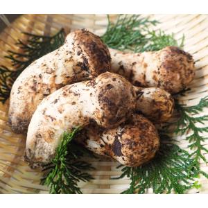 松茸 200g 極上品 つぼみ 中開き 国産 ...の詳細画像1