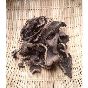 乾燥香茸 20g 香茸 乾燥 コウタケ 獅子茸 イノハナ 国産 天然きのこ