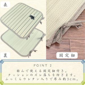 い草シートクッション おやじネコ 40x40c...の詳細画像2