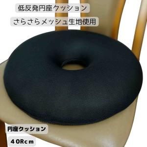 トゥルースリーパー（True Sleeper） 低反発座布団 ショップジャパン