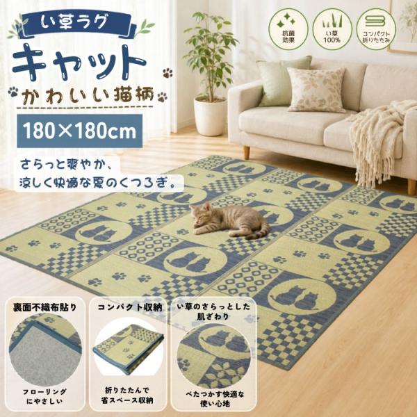 い草ラグ かわいいねこ柄 キャット 180x180cm 2畳用 不織布貼 折りたたんでコンパクトに収...