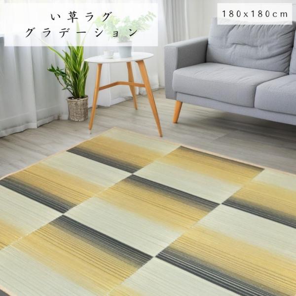 い草ラグ グラデーション 180x180cm 2畳用 裏面不織布 コンパクト収納 持ち運び楽々