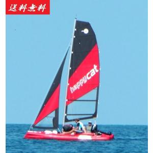 ヨット船体　カタマランヨット　ハッピーキャット 全長4m65cm　イヴォ