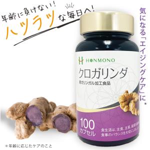 クロガリンダ 100粒 新品、未開封  クロガリンガル 黒ガリンガル クロガリンダ 100カプセル 黒ガリンガル サプリ 国内製造 無農薬 無