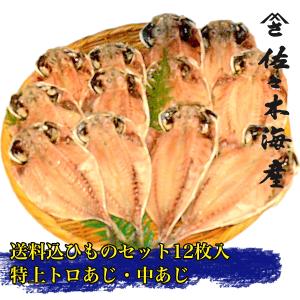 生おろしわさび 伊豆天城産の山葵 ワサビチューブ 170g トロあじ(真鯵