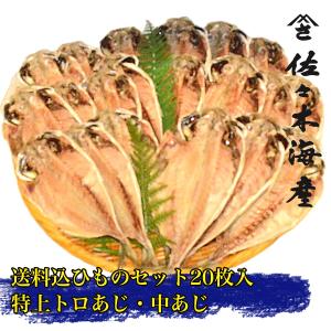 生おろしわさび 伊豆天城産の山葵 ワサビチューブ 170g トロあじ(真鯵