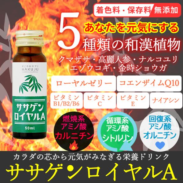 ノンカフェイン 熊笹 栄養ドリンク ササゲンロイヤルA 50ml×10本入り アミノ酸