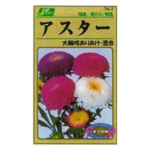カネコ種苗 園芸 種 KS100シリーズ アスター 大輪咲ありあけ 混合 草花100 003