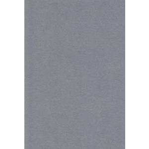 エスケント 色画用紙 ファンシーロール 全判 くらいはいいろ 2枚巻き 221902