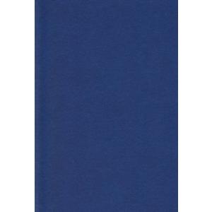 エスケント 色画用紙 八切 こんいろ 100枚 233108