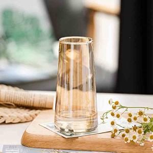 SwPotato 花瓶 ガラス 花瓶 おしゃれ 花器 一輪挿し フラワーベース 北欧 装飾家の装飾 ガラス製 シンプル 15CM