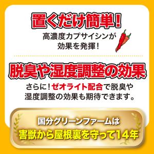 ハクビシン駆除 屋根裏 天井裏 24平米分 (...の詳細画像2