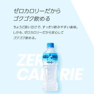 アクエリアス ゼロ 500ml PET 1ケー...の詳細画像1