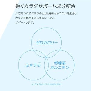 アクエリアス ゼロ 500ml PET 1ケー...の詳細画像2