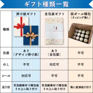 ギフト サッポロ ラガービール 赤星ギフト 3...の詳細画像2