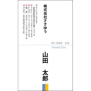 『デザイン名刺印刷』ベーシック名刺 B_149_k 「カラー名刺片面100枚入ケース付」テンプレートを選んで簡単名刺作成｜sasapri