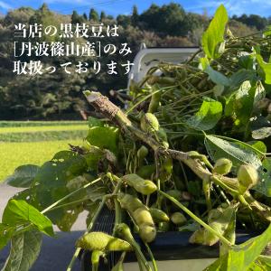 丹波黒枝豆 丹波篠山産 (バラ)さや500g農...の詳細画像3