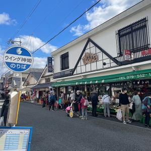 丹波黒枝豆 2025年丹波篠山産 (バラ)さや...の詳細画像4