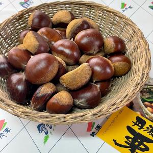 丹波栗（丹波篠山産）3Lサイズ １kg