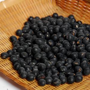 丹波黒豆/丹波篠山産 特選大粒 300g(2025年産） : 篠山食料品店 - 通販