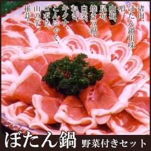 猪肉特選ロース　ぼたん鍋セット（丹波篠山地野菜・味噌付き）（２人前分）天然国産