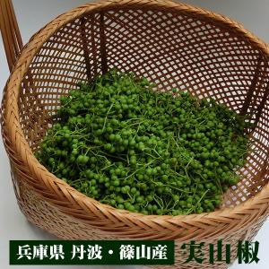実山椒（生）1kg 丹波市・丹波篠山市産