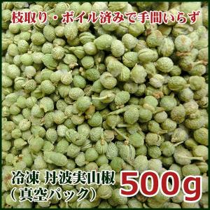 実山椒冷凍（生ボイル・枝取り済）真空パック（500g）丹波産