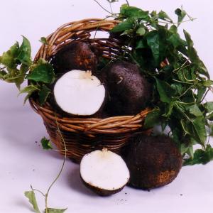 丹波山の芋(丹波篠山産）秀品 箱入り贈答1kg : 篠山食料品店 - 通販