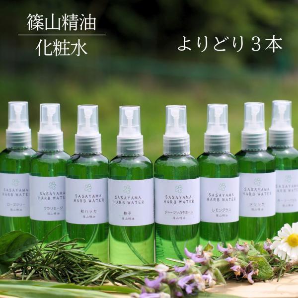 芳香蒸留水  お得な３本 ハーブウォーター 100ml 篠山精油 自社蒸留 化粧水 フローラルウォー...
