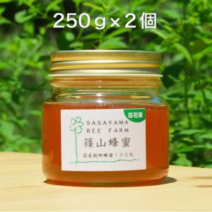 丹波篠山で採れた１００％天然の生ハチミツ　篠山蜂蜜　百花蜜 非加熱　500g z08