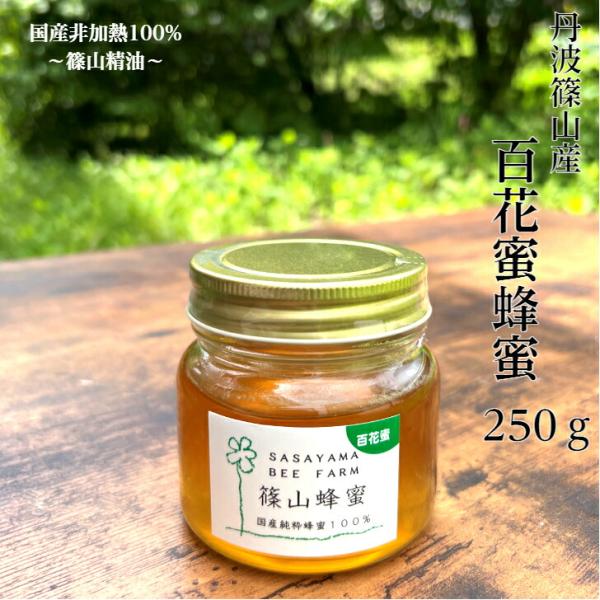 丹波篠山で採れた100％天然の生ハチミツ 篠山蜂蜜 百花蜜 250g z05